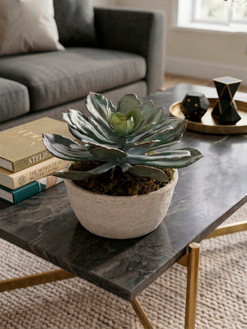 Centro de Mesa con Echeverria Artificial en Base Cantera