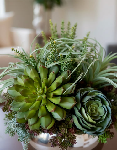 Arreglo con Variedad de Suculentas Artificiales en Base Tipo Espejo - Martha Sophia