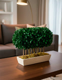 Topiario Preservado Arrayan de 36 cm en Base Cantera - Martha Sophia