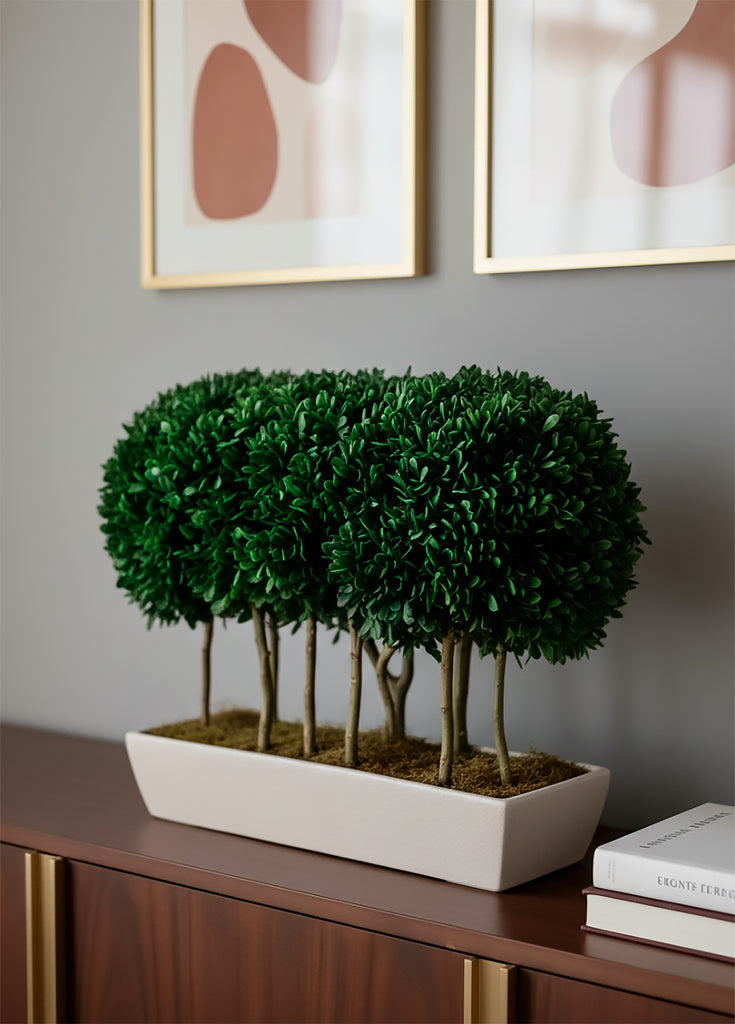 Topiario Preservado Arrayan de 38 cm en Base Cantera - Martha Sophia