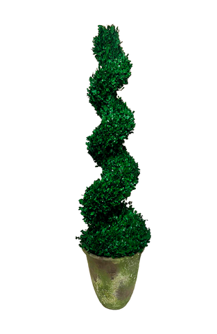 Topiario Espiral Preservado Arrayan Grande en Base de Cerámica Color Musgo Tabaco