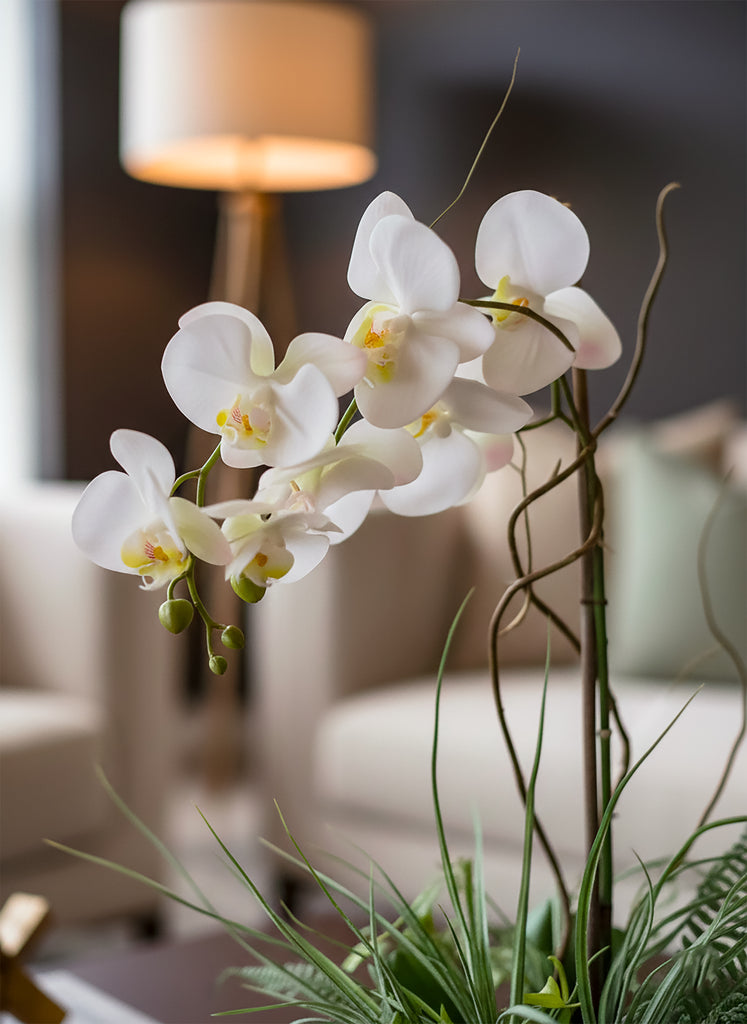 Orquideario con Phalaenopsis y Follajes Artificiales en Base Cuadrada de Vidrio - Martha Sophia