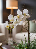 Orquideario con Phalaenopsis y Follajes Artificiales en Base Cuadrada de Vidrio - Martha Sophia