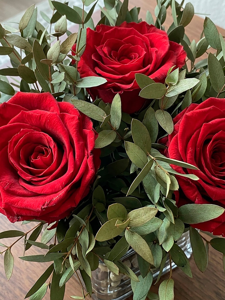 Arreglo Floral con Rosas Preservadas Color Rojo Claro en Base Cuadrada de Vidrio con Agua Acrílica