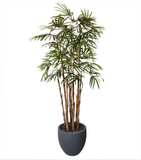 Home Raphis Artificial De 1.90 Mts De Alto en Base Tibor Chica.