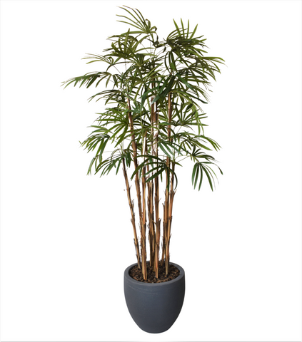 Home Raphis Artificial De 1.90 Mts De Alto en Base Tibor Chica.