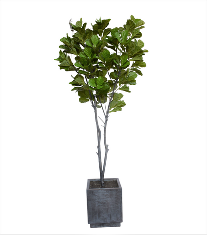 Ficus Pandurata Artificial De 3mts. de Alto En Base Vietnam Gde