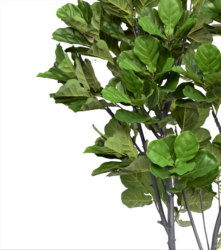 Ficus Pandurata Artificial De 3mts. de Alto En Base Vietnam Gde