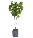 Ficus Pandurata Artificial De 3mts. de Alto En Base Vietnam Gde