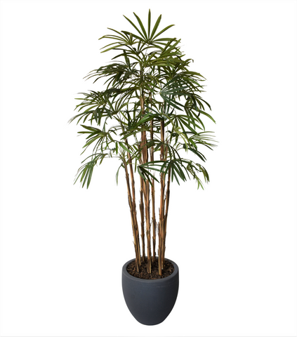 Home Raphis Artificial De 1.90 Mts De Alto en Base Tibor Chica.