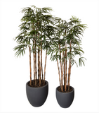Home Raphis Artificial De 2.20 Mts De Alto en Base Tibor Mediana