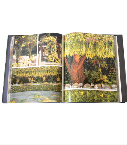 LIBRO BODAS DE MEXICO  MARTHA SOPHIA