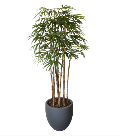 Home Raphis Artificial De 2.20 Mts De Alto en Base Tibor Mediana
