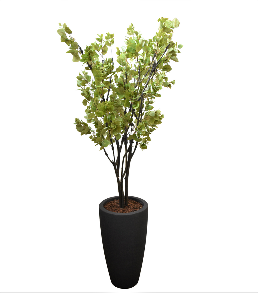 Planta Cotinus Doble 2.80 mts de Altura en Jarrón Fuente Fibra de Vidrio