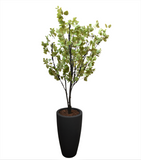 Planta Cotinus Doble 2.80 mts de Altura en Jarrón Fuente Fibra de Vidrio