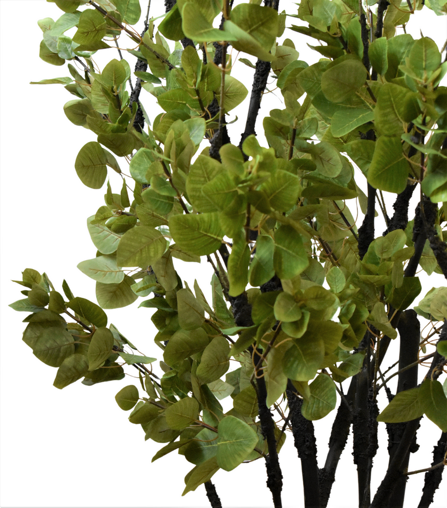 Planta Cotinus Doble 2.80 mts de Altura en Jarrón Fuente Fibra de Vidrio