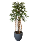 Home Raphis Artificial De 2.20 Mts De Alto en Base Tibor Mediana