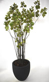 Planta Cotinus Doble 2.10 Mts de Altura en Base Tibor de Fibra de  Vidrio - Martha Sophia