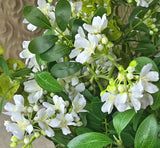 Arreglo Floral de Stephanoptis Blanco Artificial en Florero de Vidrio con Base de Herrería y Agua Acrílica